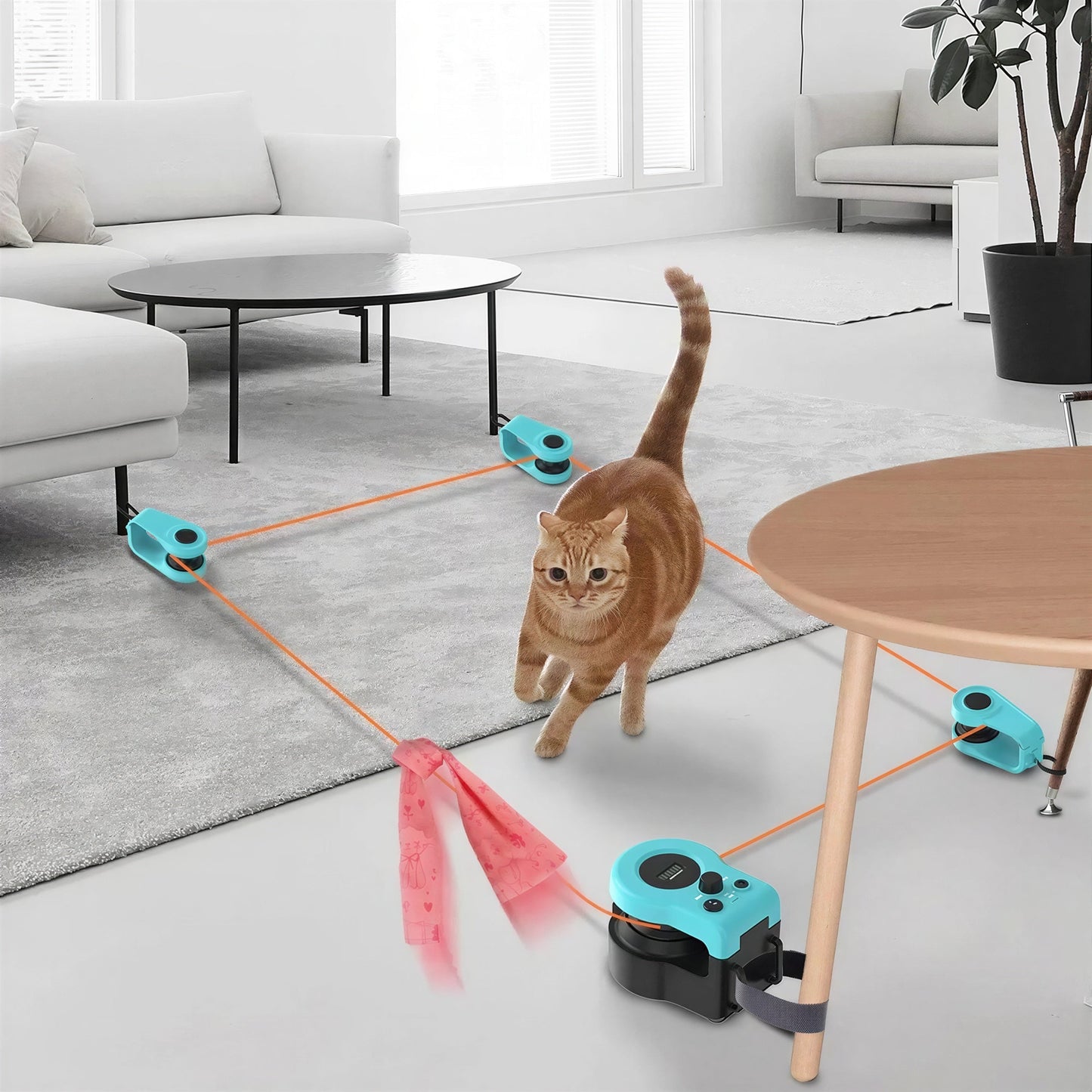 Jouet pour Chat Electronique à Ventouse Pour toi Mon chat