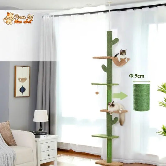 Arbre à chat cactus à cinq niveaux Pour toi Mon chat