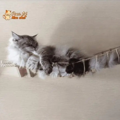 Arbre à chat en forme de pont en bois suspendu - Pour toi Mon chat