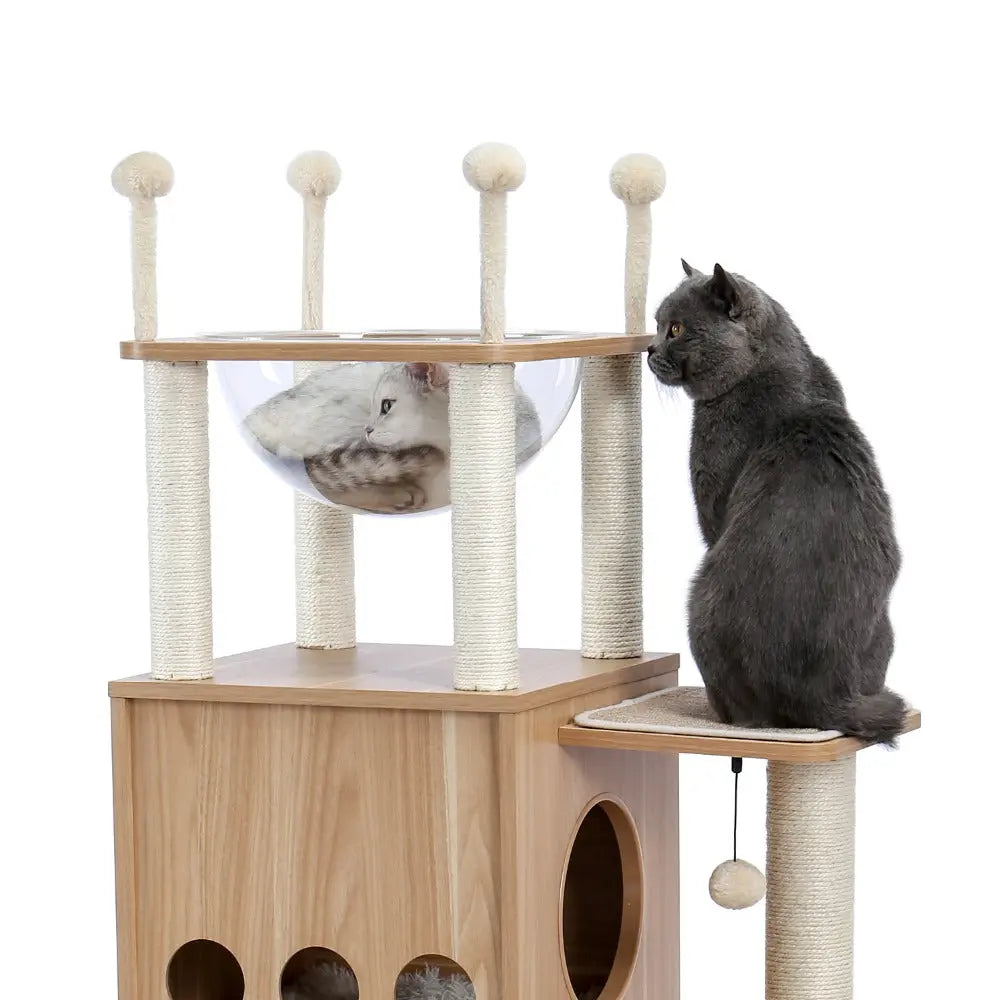 Arbre à chat en sisal à plusieurs niveaux Pour toi Mon chat
