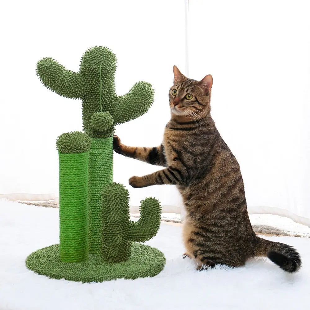 Arbre à chat mignon en forme de cactus avec boule Pour toi Mon chat