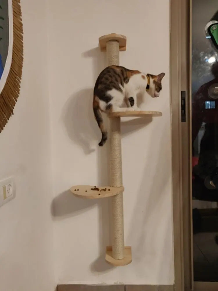 Arbre à gratter en sisal pour chat Pour toi Mon chat