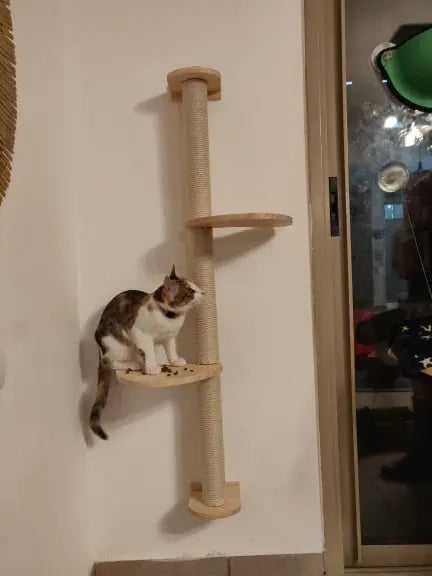 Arbre à gratter en sisal pour chat Pour toi Mon chat