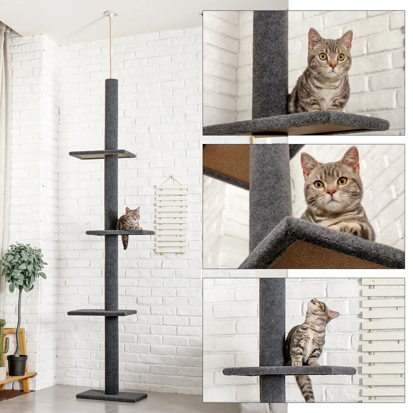 Arbre d'escalade pour chat à cinq niveaux Pour toi Mon chat