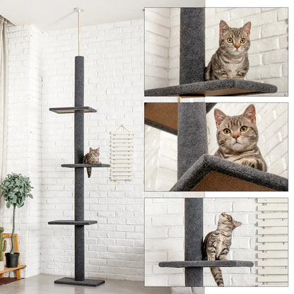 Arbre d'escalade pour chat à cinq niveaux Pour toi Mon chat