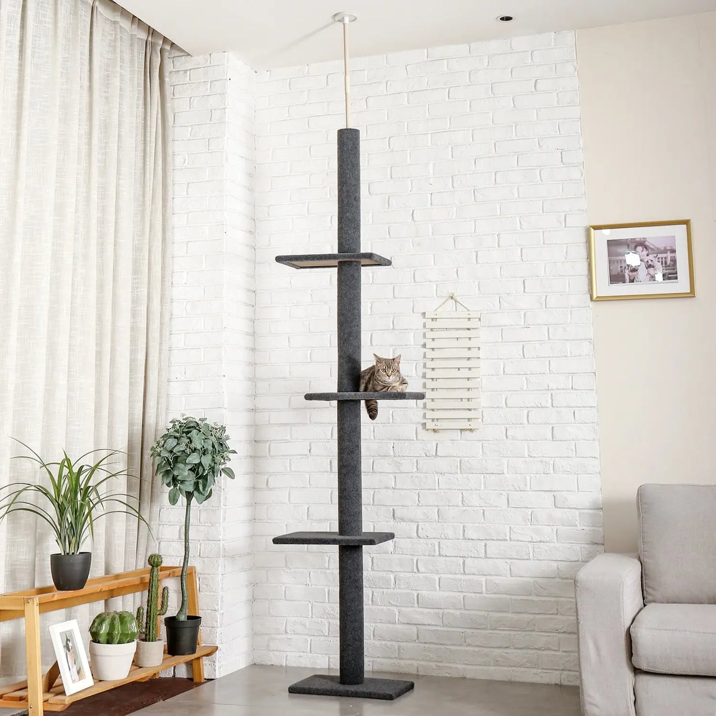 Arbre d'escalade pour chat à cinq niveaux Pour toi Mon chat