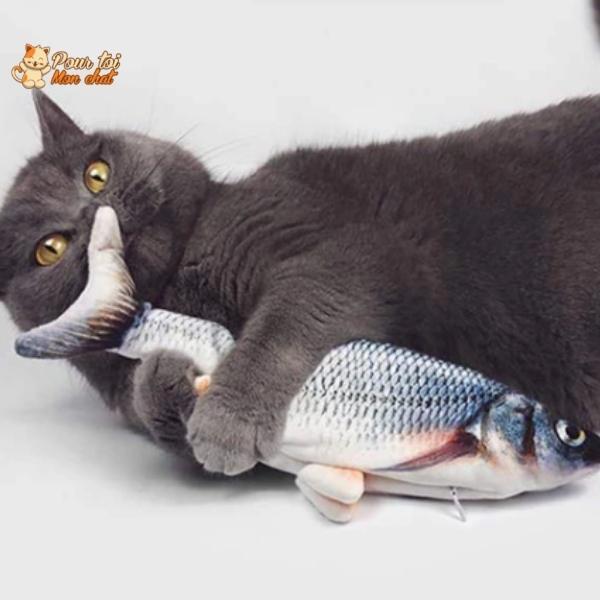 Poisson qui Bouge pour Chat - Attrap'Fish™ – Pour toi Mon chat