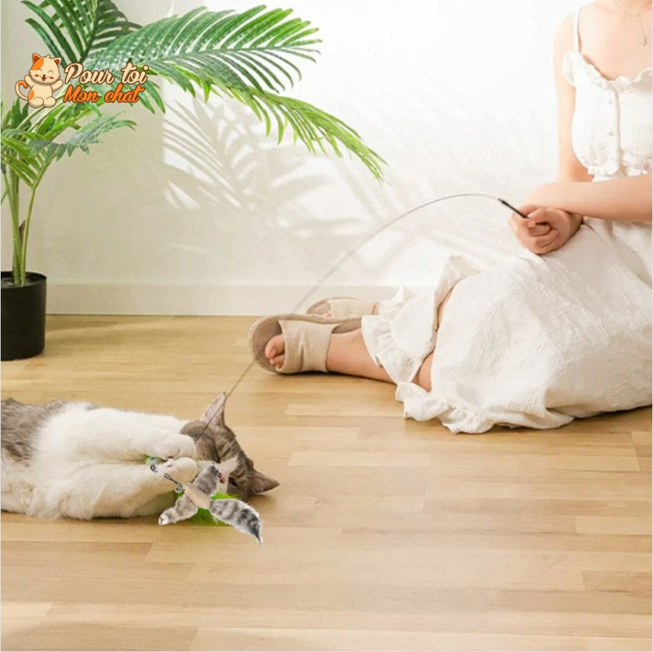 Jouet incroyable pour chat - Attrap'bird™ - Pour toi Mon chat