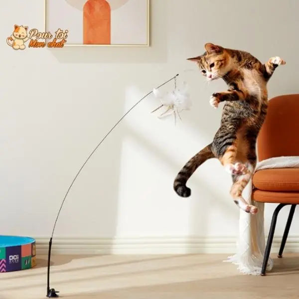 Jouet incroyable pour chat - Attrap'bird™ - Pour toi Mon chat