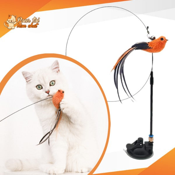 Jouet incroyable pour chat - Attrap'bird™ - Pour toi Mon chat