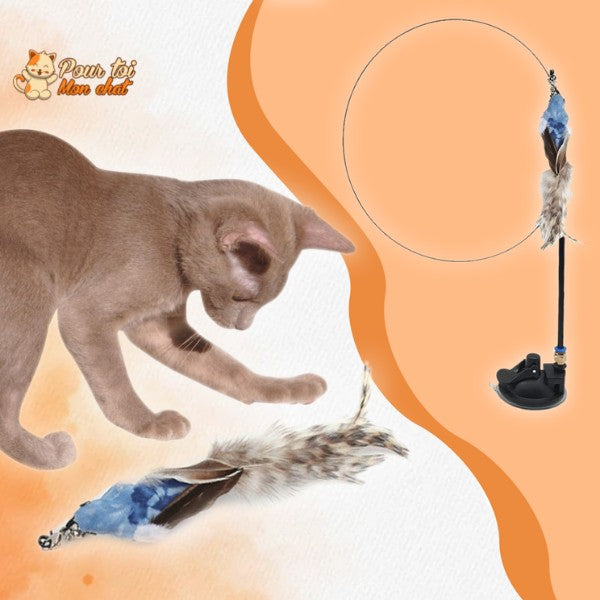 Jouet incroyable pour chat - Attrap'bird™ - Pour toi Mon chat