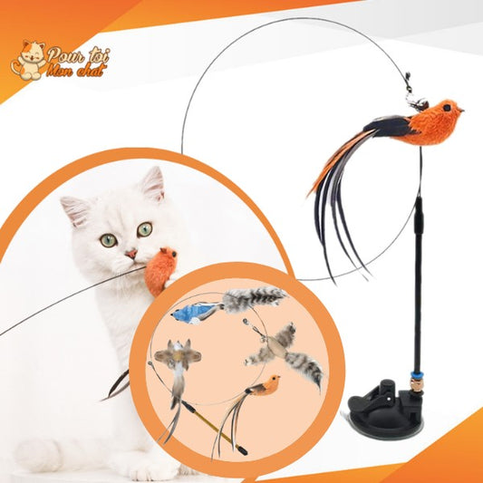 Jouet incroyable pour chat - Attrap'bird™ - Pour toi Mon chat