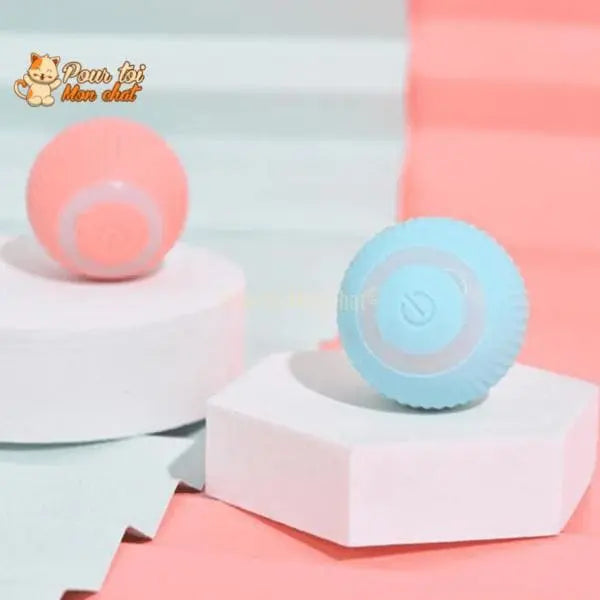 BALLE ROULANTE INTELLIGENTE POUR CHAT – Vite’Balle’Chat™ - Pour toi Mon chat