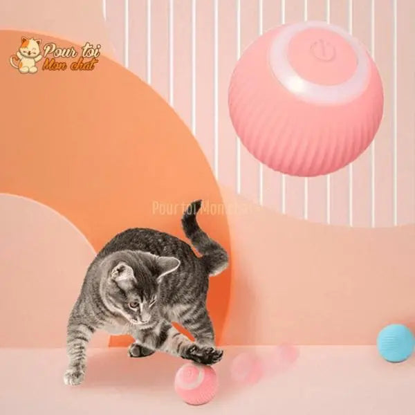 BALLE ROULANTE INTELLIGENTE POUR CHAT – Vite’Balle’Chat™ - Pour toi Mon chat