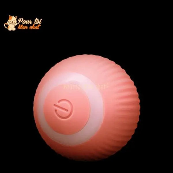 BALLE ROULANTE INTELLIGENTE POUR CHAT – Vite’Balle’Chat™ - Pour toi Mon chat