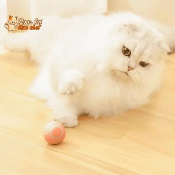 Balle De Jeu Roulante Pour Chats Avec Queue En Plumes – Animaux Plus Balle De Jeu Roulante Pour Chats Avec Queue En Plumes – Animaux Plus