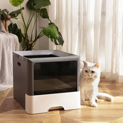 Bac à litière avec pelle pour chat Pour toi Mon chat