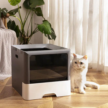 Bac à litière avec pelle pour chat Pour toi Mon chat
