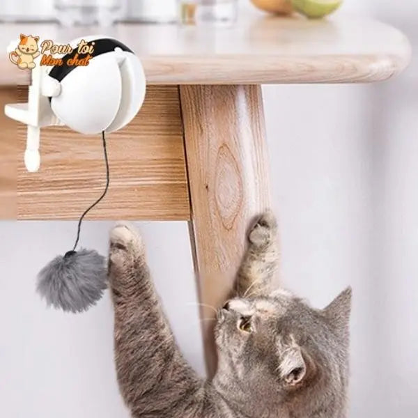 Balle Interactive pour chat - Attrap'Ball™ - Pour toi Mon chat