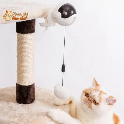 Balle Interactive pour chat - Attrap'Ball™ - Pour toi Mon chat