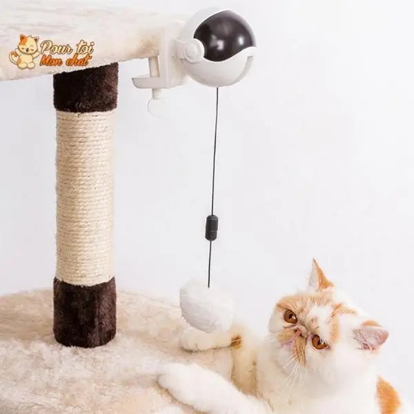 Balle sautante interactive verte rechargeable pour chat – Pour toi Mon chat