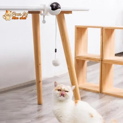 Balle Interactive pour chat - Attrap'Ball™ - Pour toi Mon chat