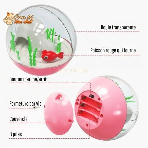 Balle de jeu interactive “aquarium” pour chat - AQUA'CHAT™ - Pour toi Mon chat