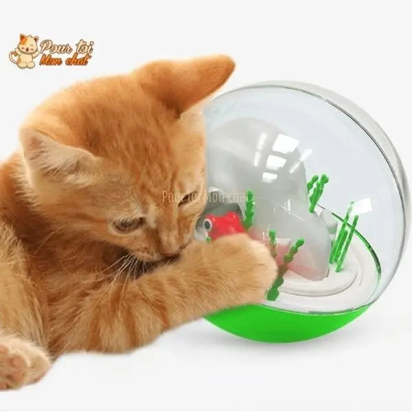 Balle de jeu interactive “aquarium” pour chat - AQUA'CHAT™ - Pour toi Mon chat