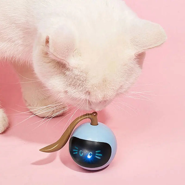 Balle interactive rotative et intelligente à LED pour chaton Pour toi Mon chat