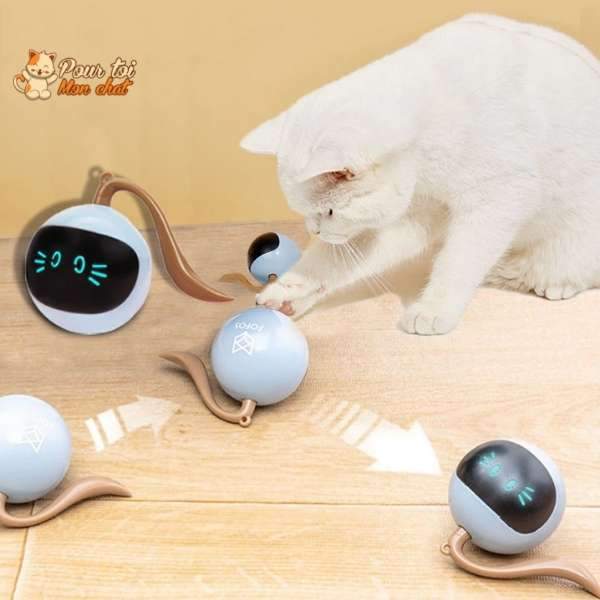 Balle Magique Lumineuse pour Chat - Catch'Cat™ - Pour toi Mon chat