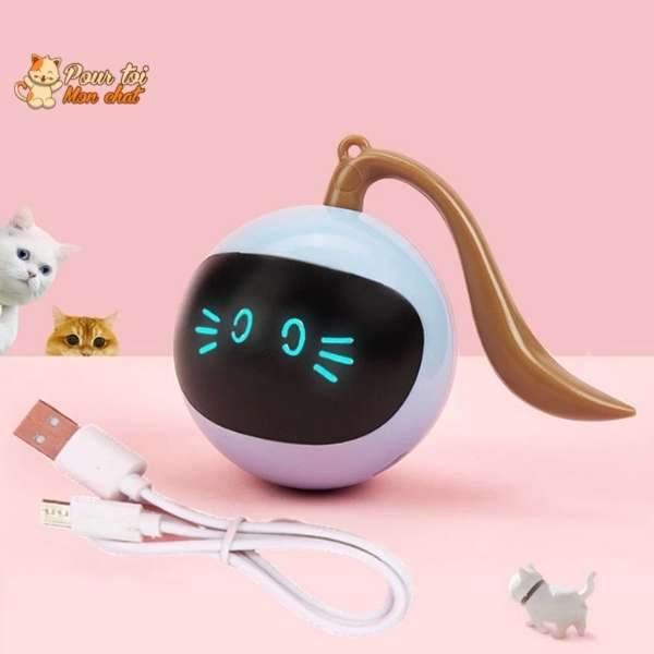 Balle Magique Lumineuse pour Chat - Catch'Cat™ - Pour toi Mon chat