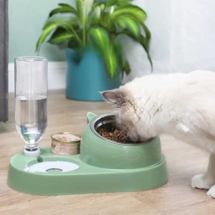 Bol en acier inoxydable pour chats Pour toi Mon chat