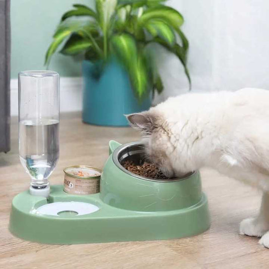 Bol en acier inoxydable pour chats Pour toi Mon chat
