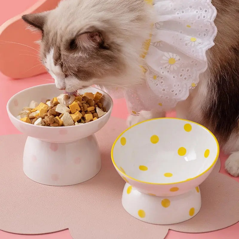Bol en céramique surélevé pour chat Pour toi Mon chat