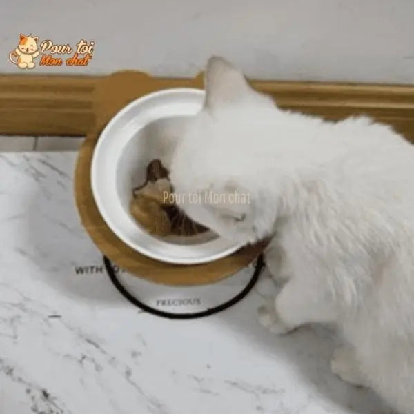 Bols d’alimentation et de boisson en céramique pour chats - MonChatBol™ - Pour toi Mon chat