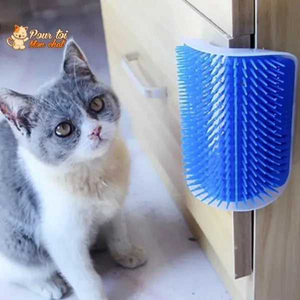Brosse d’angle, auto-massage pour chats - Pour toi Mon chat
