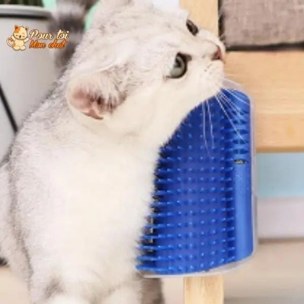 Brosse d’angle, auto-massage pour chats - Pour toi Mon chat