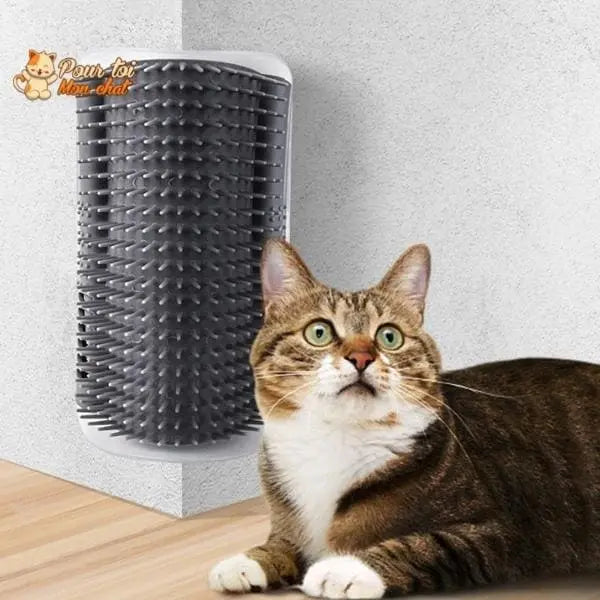 Brosse d’angle, auto-massage pour chats - Pour toi Mon chat