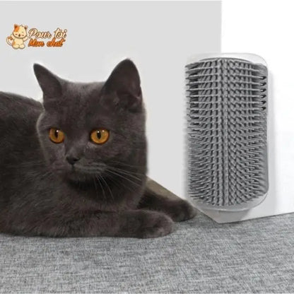 Brosse d’angle, auto-massage pour chats - Pour toi Mon chat