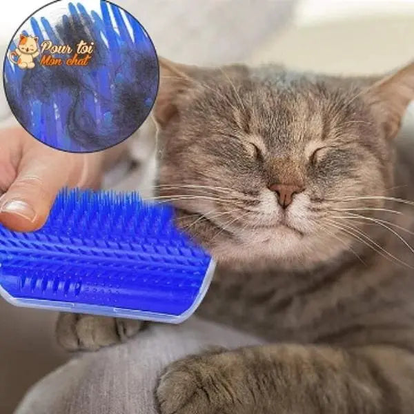Brosse d’angle, auto-massage pour chats - Pour toi Mon chat