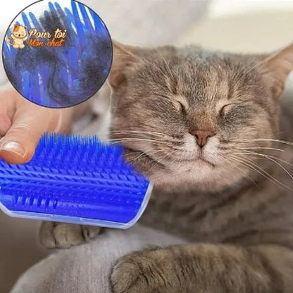 Brosse d’angle, auto-massage pour chats - Pour toi Mon chat