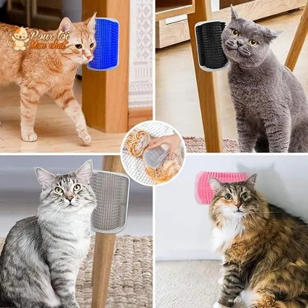 Brosse d’angle, auto-massage pour chats - Pour toi Mon chat