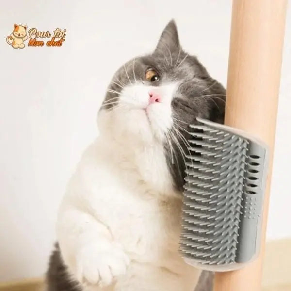 Brosse d’angle, auto-massage pour chats - Pour toi Mon chat