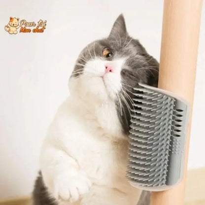Brosse d’angle, auto-massage pour chats - Pour toi Mon chat