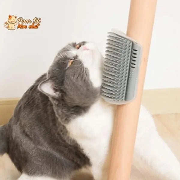 Brosse d’angle, auto-massage pour chats - Pour toi Mon chat