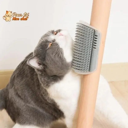 Brosse d’angle, auto-massage pour chats - Pour toi Mon chat