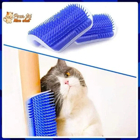 Brosse d’angle, auto-massage pour chats - Pour toi Mon chat