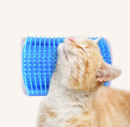 Brosse de massage d'angle pour chaton Pour toi Mon chat