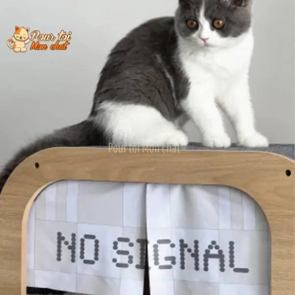 CABANE, LIT, MAISON - POUR CHAT MODERNE EN BOIS - TheRadioChat™ - Pour toi Mon chat