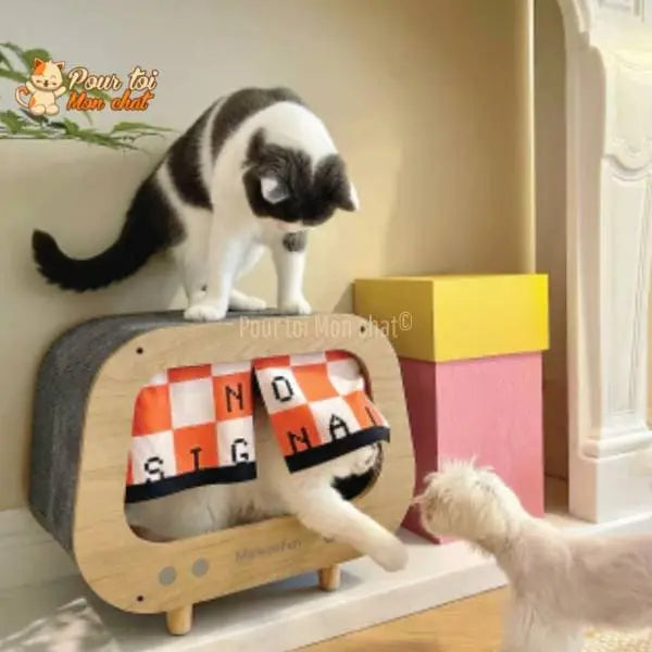 CABANE, LIT, MAISON - POUR CHAT MODERNE EN BOIS - TheRadioChat™ - Pour toi Mon chat